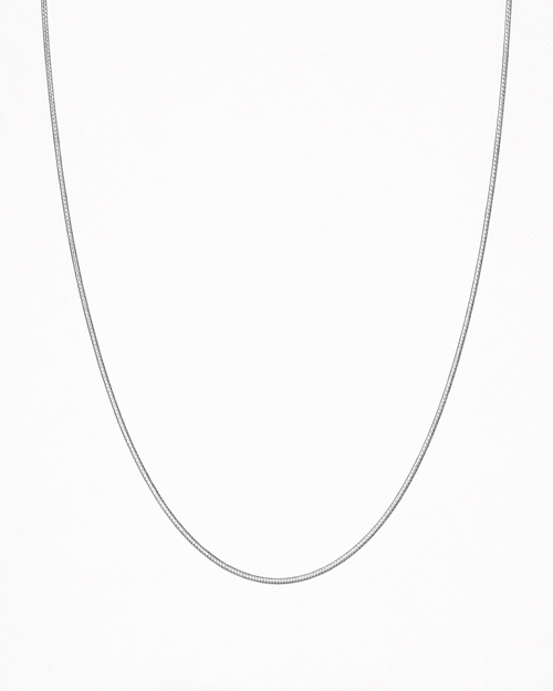 Snake Chain (Silver Plated)